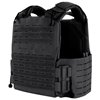 Outer/LBV Carriers