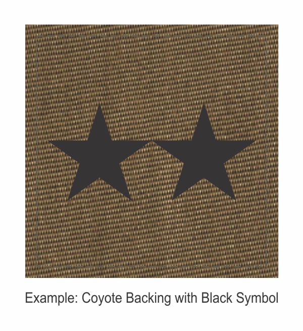 Square Rank Patch - Assistant Chief - Two Stars - Click for larger image Square Rank Patch - Assistant Chief - Two Stars