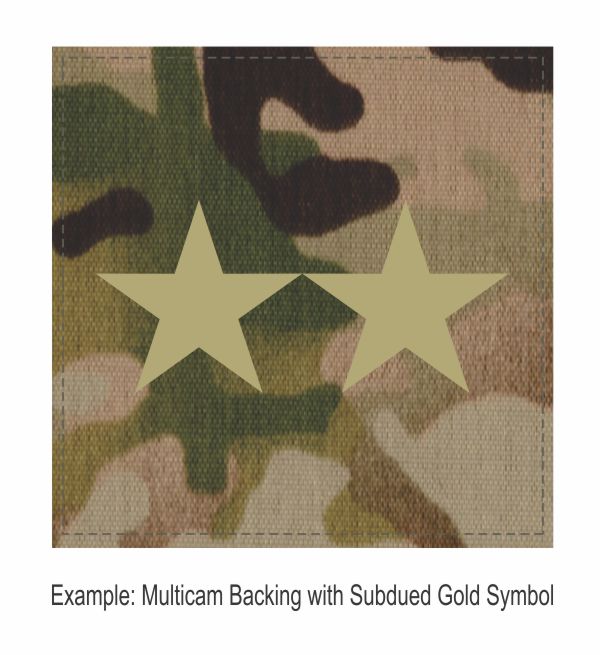 Square Rank Patch - Assistant Chief - Two Stars - Click for larger image Square Rank Patch - Assistant Chief - Two Stars