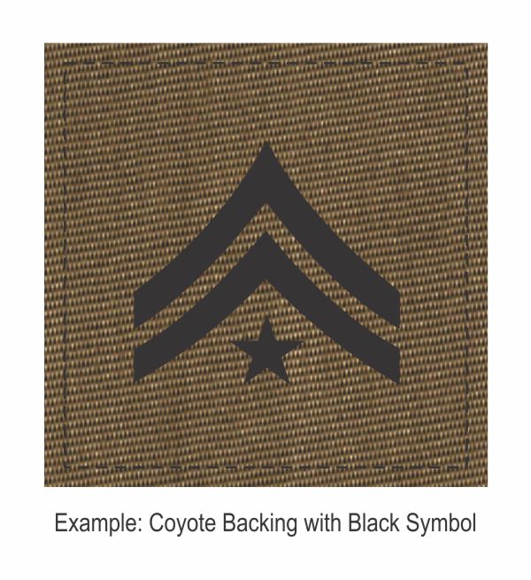 Square Rank Patch - Investigator - Two Stripes with Star - Click for larger image Square Rank Patch - Investigator - Two Stripes with Star